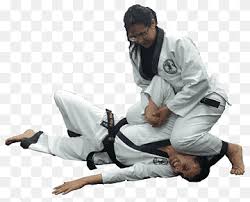 American judo & hapkido teaching the traditional martial arts of judo and hapkido our scholl has been in operation since 1974.we specialize in teaching men,women,and children. Hapkido Png Imagenes Pngwing