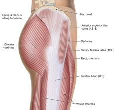 With regard to desirability, the glutes are gaining in popularity, however the glutes are far more than something nice to look at. Lateral Hip Pain Don T Always Blame The Glutes Bjsm Blog Social Media S Leading Sem Voice