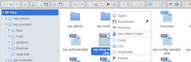 It is possible to earn additional income through people downloading files you share, whether it is some wallpaper pictures you created or an ebook you wrote. Advanced File Manager Wordpress Plugin Wordpress Org