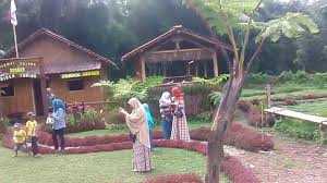 Sungai dan gunung bersatu menjadi sebuah pemandangan alam yang indah. Perjalanan Menuju Wisata Alam Dengan Pemandangan Alam Yang Indah Sekali Youtube