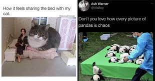 With tenor, maker of gif keyboard, add popular funny memes animated gifs to your conversations. Memebase Wholesome Page 4 All Your Memes In Our Base Funny Memes Cheezburger