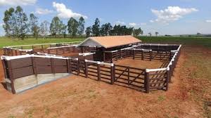 Te ofrecemos el paquete justo de tuberías para fabricar un corral ganadero de 20 mts. 100 Ideas De Corales Diferentes Ganaderia Rancho De Ganado Establos