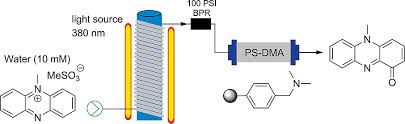 Kijang kapsul ssx thn 1997. A Simple And Efficient Flow Preparation Of Pyocyanin A Virulence Factor Of Pseudomonas Aeruginosa Mortzfeld 2019 European Journal Of Organic Chemistry Wiley Online Library