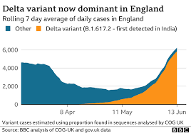 The numbers — especially in britain, which delta hit hard — show it causes far fewer. Covid Why Has The Delta Variant Spread So Quickly In Uk Bbc News