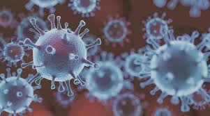 The mutation changed the amino acid. More Infectious But Less Deadly Coronavirus Mutation May Be A Good Thing Says Disease Expert World News The Indian Express