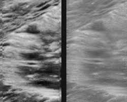 Image result for Moon White 1980 ABB Comeng