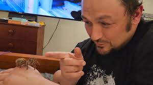 I love my inverts it's such a cool rewarding experience to be able to  interact with them