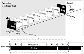 The company announced on monday that it is recalling the products with immediate effect. Brain Sciences Free Full Text Recall Of Reverberant Speech In Quiet And Four Talker Babble Noise Html