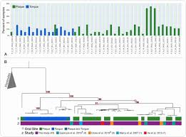 Exploring the life of baby hilary to. Functional And Genetic Markers Of Niche Partitioning Among Enigmatic Members Of The Human Oral Microbiome Biorxiv