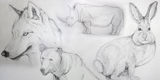 Des coloriages pour tous les gouts sur gulliles animaux te fascinent. 5 Cours De Dessin Gratuits Pour Apprendre A Dessiner Les Animaux Apprendre A Dessiner Avec Dessin Creation