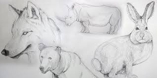 Publié le septembre 12, 2018 par bmd. 5 Cours De Dessin Gratuits Pour Apprendre A Dessiner Les Animaux Apprendre A Dessiner Avec Dessin Creation