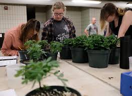 Ostrander nursery is a new plant nursery in the heart of oregon that is dedicated to provide quality choice for individuals searching for plant and garden supplies, as well as serving contractors who. Cte Programs In Greater Lansing Aim To Meet Job Demands