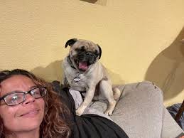 Dr. Jean Mitchell (@drjean_neuro)