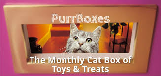 As low as $19.99/month with free shipping! Purrboxes Monthly Cat Treat Box That Will Make Them Purr Cat Treats Treat Boxes Cats
