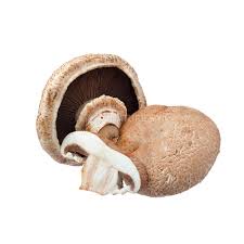 Planting portobello mushrooms in spring comes with its fair share of advantages. Portobello Mushroom Exotic Naturesbasket Co In