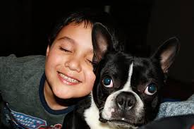 Affordable dog teeth extraction vet recommendations needed