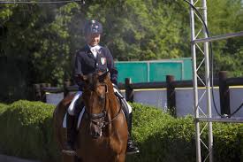 Federazione Italiana Sport Equestri - CR Emilia Romagna - Primo giorno agli  Europei di Dressage. Bene Spagni e gli azzurri