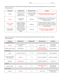 Hormone And Enzyme Sources And Targets