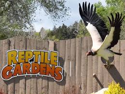 Wild Animal Park Black Hills Attraction Reptile Gardens Wild Animal Park Animals Wild Prairie Dog Town