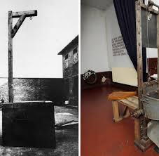 Her father was the elected mayor of forchtenberg. Todesurteile Unter Dieser Guillotine Starb Sophie Scholl Welt