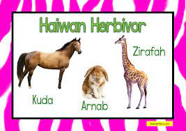 A worksheet on carnivores, omnivores and herbivores. Teacherfiera Com Haiwan Herbivor Karnivor Omnivor