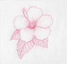 How To Draw Hawaiian Flowers How To Draw Hawaiian Flowers Step By Step Ehow Hawaiian Flower Drawing Flower Sketches Flower Drawing