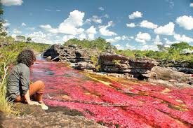 We did not find results for: La Vuelta Al Mundo En Un Millon De Fotos Como Llegar A Cano Cristales Primero Hay Que Llegar A Villavicencio Luego Ir Al Aeropuerto La Vanguardia Y Buscar Los Aerotaxis 400 000
