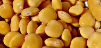 فوائد الترمس للترمس فوائد غذائية وصحية عديدة نذكر منها: ÙÙˆØ§Ø¦Ø¯ Ø§Ù„ØªØ±Ù…Ø³ Ù„Ù„Ø¨Ø´Ø±Ø© Ø§Ù„Ø¯Ù‡Ù†ÙŠØ© Ù…Ù€Ù‚Ù€Ø§Ù„Ø§ØªÙ€ÙŠ