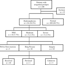 Flow Chart Showing Patient Recruitment Prevalence Of