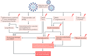 Check spelling or type a new query. Covid 19 And Diabetes Mellitus From Pathophysiology To Clinical Management Nature Reviews Endocrinology