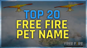 Here the user, along with other real gamers, will land on a desert island from the sky on parachutes and try to stay alive. Top 20 Best Pet Name For Free Fire Free Fire Best Pet Name Falcon Pet Name Bkp Gamer Youtube