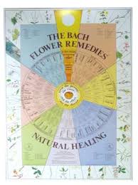 Martin Pleasance Bach Flower Chart Laminated