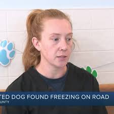 Emaciated Dog Found Freezing
