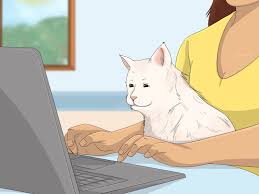 AP Italian Brainrot Quiz (Hard Difficulty)