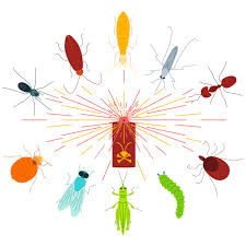 Lubbock pest control starting at $59.95 per service. Landlock Pest Control Linkedin