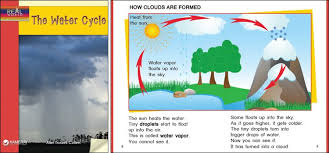 The Water Cycle Nonfiction Text Features Water Cycle Nonfiction Texts
