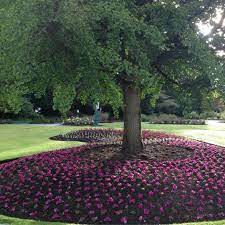 Sticks and stones landscape consruction. Sticks And Stones Landscaping Home Facebook