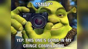Cringe memes are epic and super hilarious, kudos to all the fans and creative minds who have made these. Shrek S Cringe Compilation Know Your Meme