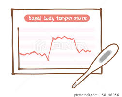 Basic Body Temperature Chart Ladies Thermometer Stock