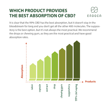 Cbd Bioavailability Chart What Is The Bioavailability Of