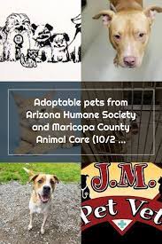 Adoptable Pets From Arizona Humane Society And Maricopa County Animal Care Humane Society Pet Care Society
