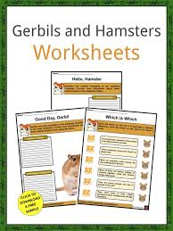 Right here, in the critter squad kids' zone! Gerbils And Hamsters Facts Worksheets Gerbil Hamster Worksheets