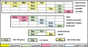 A Common Periodic Table Of Codons And Amino Acids
