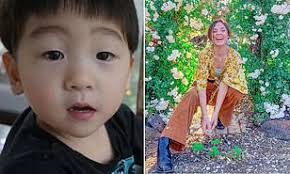 Peter Vincent: All their latest coverage