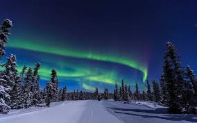 See The Northern Lights Aboard Alaska Railroad S Aurora Winter Train Alaska Northern Lights See The Northern Lights Alaskan Northern Lights