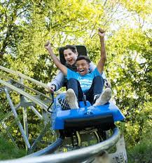 Learn amusement park words in this short vocabulary lesson for kids. Mountain Adventures Camelback