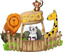 Gambar aquarium gambar tapir zoo haiwan zoo negara gambar harimau putih batu secret zoo malaysia zoo ragunan zoo bandung zoo ragunan zoo jakarta gambar setan gembira loka zoo. 15 Ide Zoo Terbaik Gambar Kebun Binatang Binatang