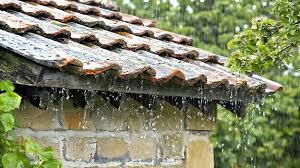 Chuva No Telhado Fotos e Imagens para Baixar Grátis