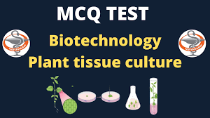 Used to induce the development of shoot and roots along with auxin, depending on the ratio. Mcq In Biotechnology I Gpat Test 1 Plant Tissue Culture Test