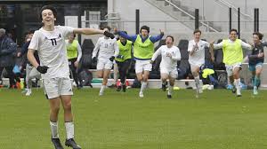 OHSAA boys soccer: Grandview Heights captures Division III state title